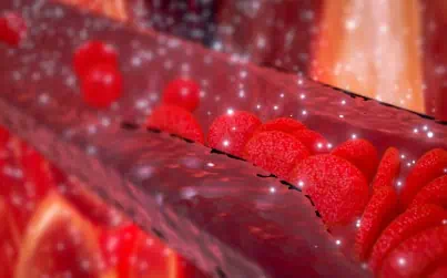 Magnified red blood cells